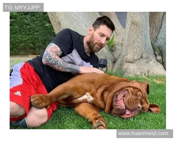 狗狗足球球星与爱犬互动瞬间 趣味对决和默契配合大公开 狗狗足球球星与爱犬互动瞬间 趣味对决和默契配合大公开